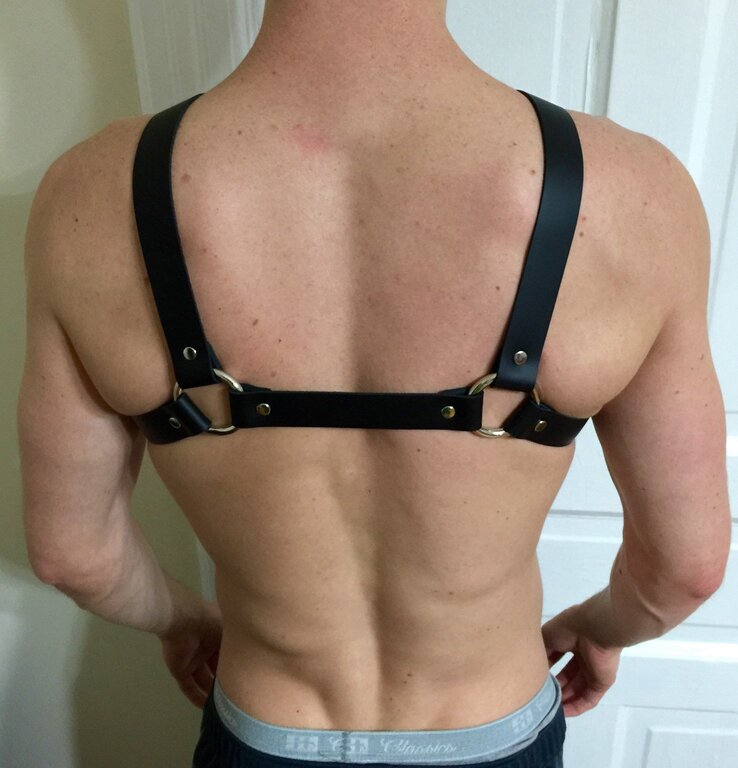 Портупея мужская Y Front Harness